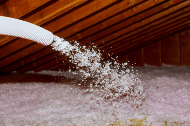 Best Energy Efficiency Solutions in Webster, TX